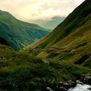 Mountains covered in forest