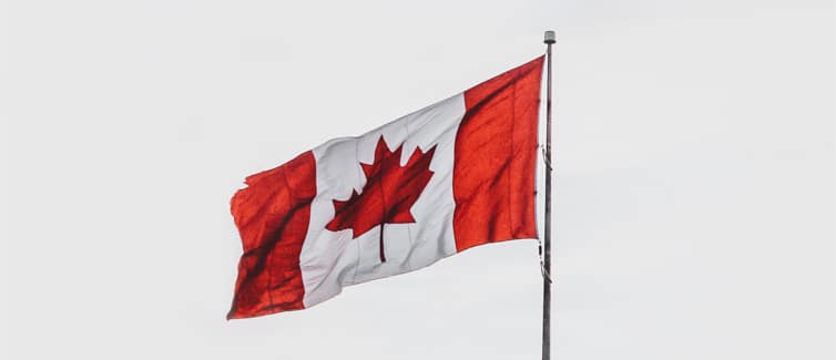 Image of the Canadian flag flying on a flagpole against a grey background