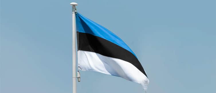 Image of a blue, black and white Estonian flag on a flagpole