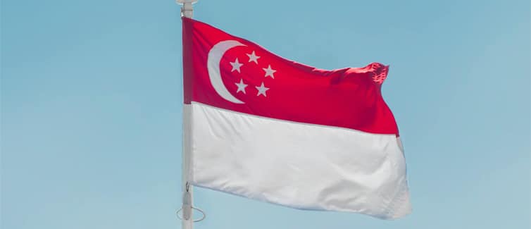 Image of a red and white Singapore flag on a flagpole