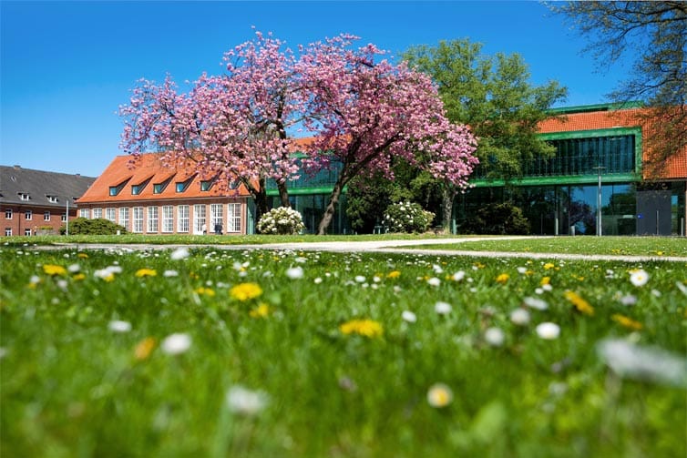 University buildings with blossom trees in front of them, with a blue sky and bright green grass