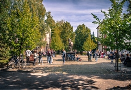 University of Veterinary Medicine and Pharmacy in Košice