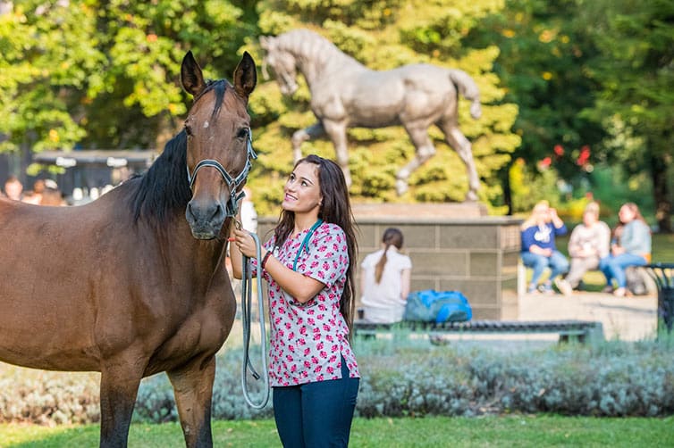 Image of a student standing with a large brown horse looking at the horse and smiling